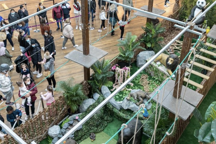 Accrobranche Kids Aventure Jungle